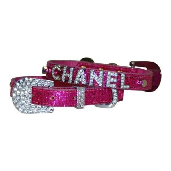 Personalized Dog Collars - Letters and Charms purchased separately
