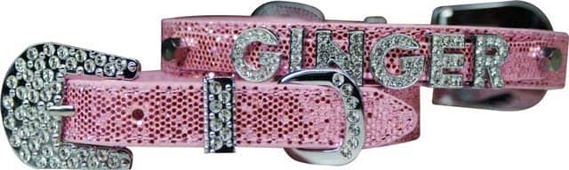 Two Tier 1/2" Dog Collars