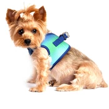 American River Dog Harness Ombre Collection - Northern Lights - by Doggie Design