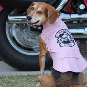 Pink Biker Dawg Harness Jacket - by Doggie Design