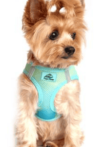 American River Dog Harness Ombre Collection -Aruba Blue - by Doggie Design
