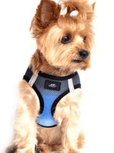 American River Dog Harness Ombre Collection -Midnight Sky - by Doggie Design
