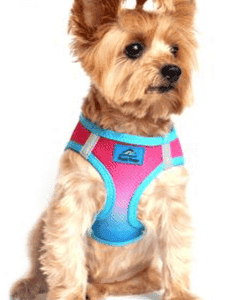 American River Dog Harness Ombre Collection -Sugar Plum - by Doggie Design