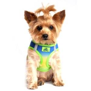 American River Dog Harness Ombre Collection -Cobalt Sport - by Doggie Design