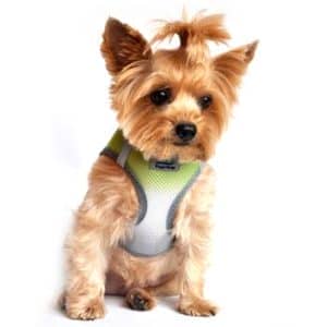 American River Dog Harness Ombre Collection -Limestone Gray - by Doggie Design