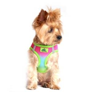 American River Dog Harness Ombre Collection  -Rainbow - by Doggie Design