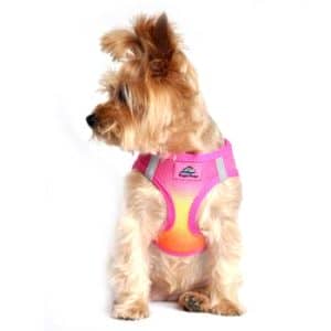 American River Dog Harness Ombre Collection -Raspberry Pink and Orange - by Doggie Design