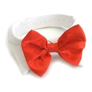 Red Satin Bow Tie And Collar - by Doggie Design