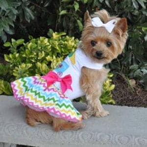 Ice Cream Cart Dog Dress - by Doggie Design