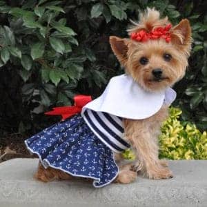 Nautical Dog Dress - by Doggie Design