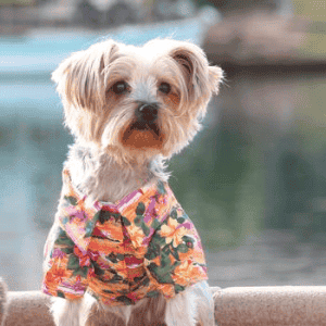 Sunset Hibiscus Hawaiian Camp Shirt - by Doggie Design