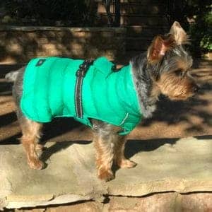 Alpine Extreme Weather Puffer Dog Coat - Arcadia - by Doggie Design