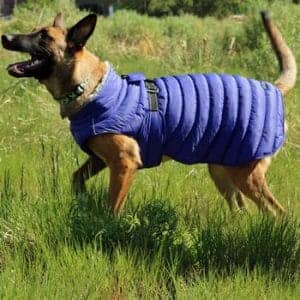Alpine Extreme Weather Puffer Dog Coat - Navy Blue - by Doggie Design