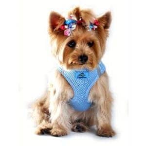 American River Solid Ultra Choke-Free Dog Harness - Light Blue - by Doggie Design
