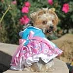 Pink and Blue Plumeria Floral Dog Dress - by Doggie Design