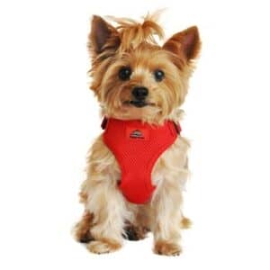 Wrap and Snap Choke Free Dog Harness by Doggie Design - Flame Red