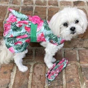 Juicy Watermelon Dog Dress with Matching Leash - by Doggie Design