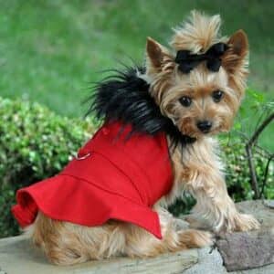 Wool Fur-Trimmed Dog Harness Coat - Red - by Doggie Design