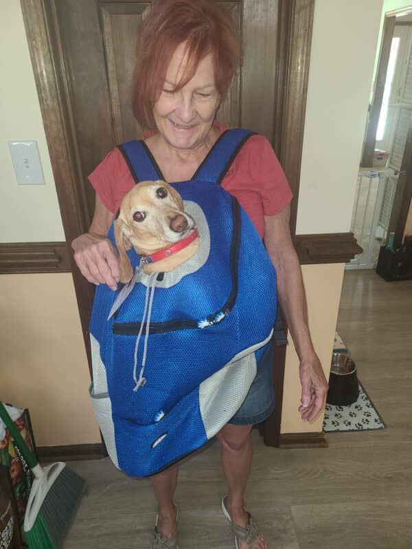 DOGGIE BACKPACKS - by Fido's Fancy - Image 6