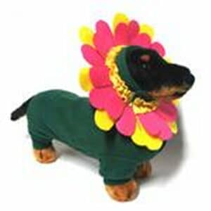 Flower Dog Costume with Separate Flower Headpiece