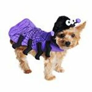 Spider Dog Costume