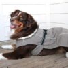 Alpine Tuf Terrain Dog Coat - Dried Sage - Image 3